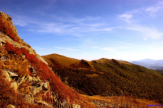 Halicz i Rozsypaniec. Bieszczady