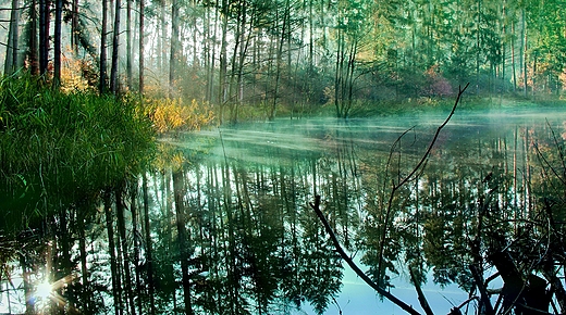 mrony poranek nad jeziorkiem w lesie Grzymiradz