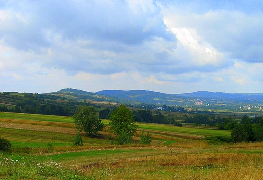 Na oczy mi si kadzie ten widok serdeczny... Dolina Wilkowska