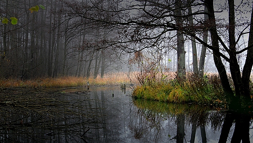 jeziorko I Barnwko