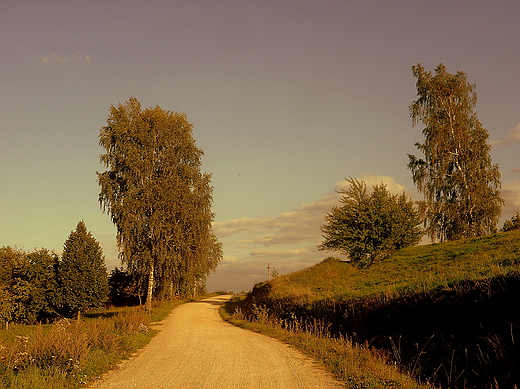 droga do wsi Biaorogi