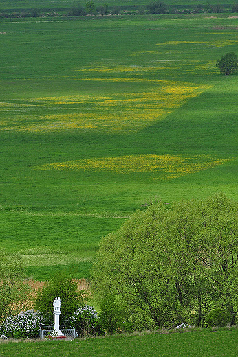 Nadnidziaskie ki