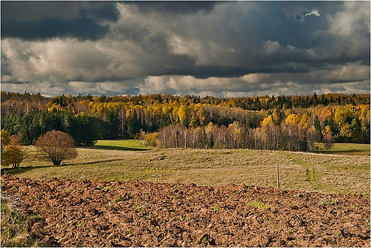 Suwalszczyzna - okolice Wiajn.