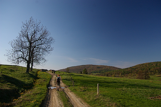 niedaleko wsi Regietw w drodze na Kozie ebro