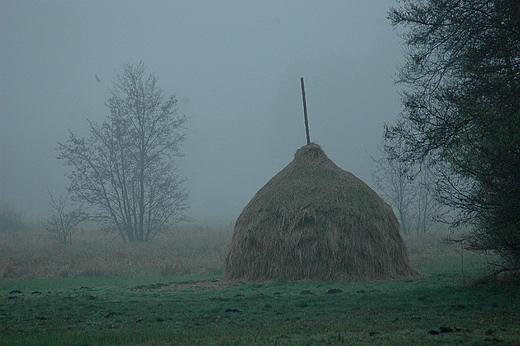 Jesienny klimat. Puszcza Kampinoska