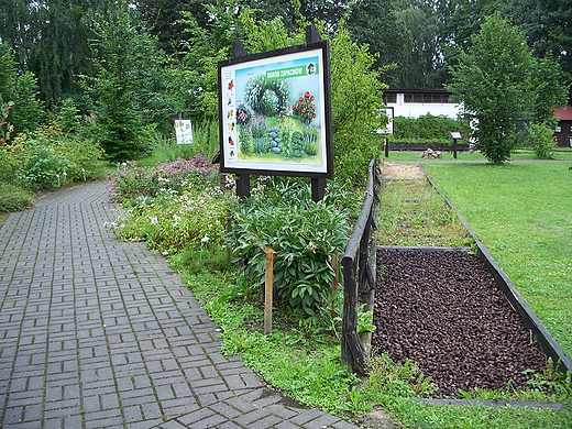 Charzykowy, cieka przyrodnicza .