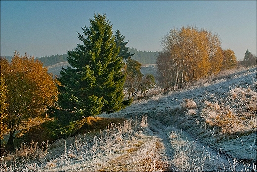 Jesienny przymrozek na Suwalszczynie.