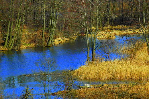 rdlisko Czarnej Nidy