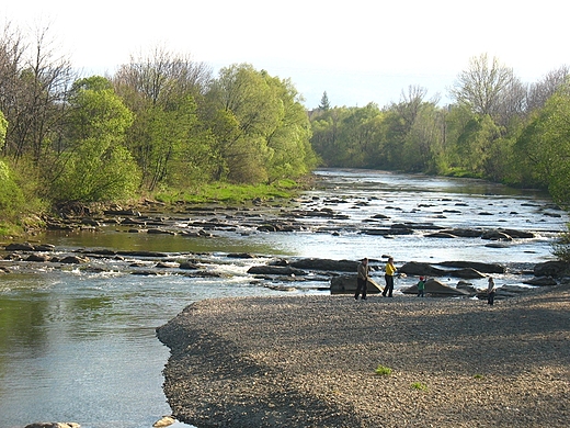 Rzeka Wisoka w Zau w gminie Osiek Jasielski