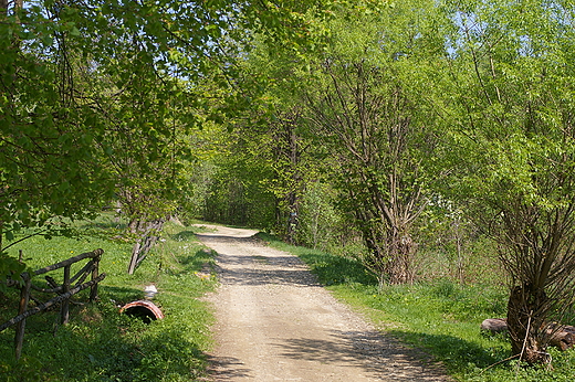 Niebieski szlak