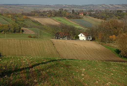 Na polach pod Czarnocinem