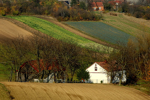 Samotny, biay dom - Czarnocin