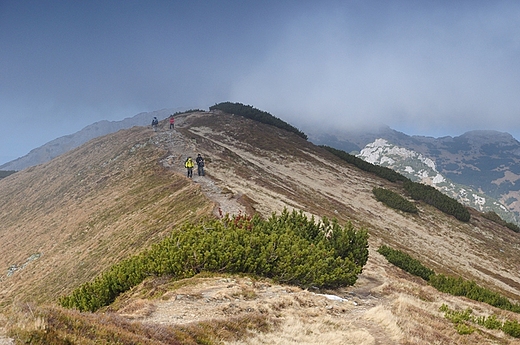 Listopadowy Ornak - Tatry Zachodnie