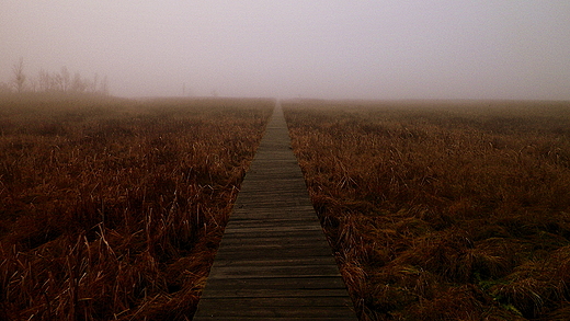 Bagno Ławki