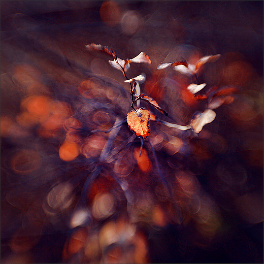 Jesienny obraz