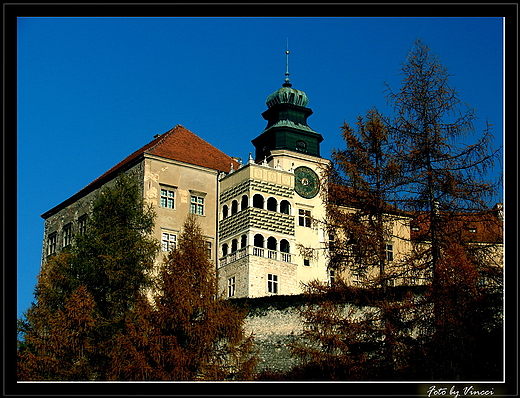 Zamek w Pieskowej Skale