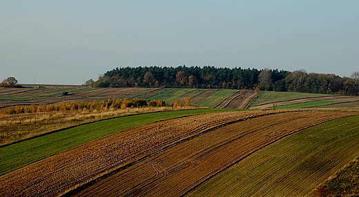 Stradw - jesienne wspomnienie