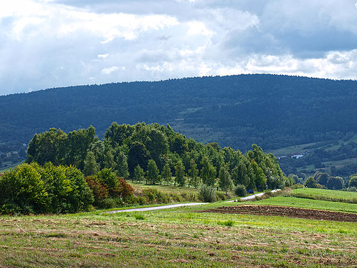 Stryszowskie pola.