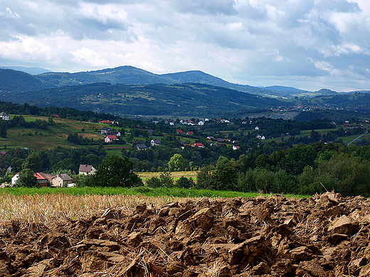 Stryszowskie pola.