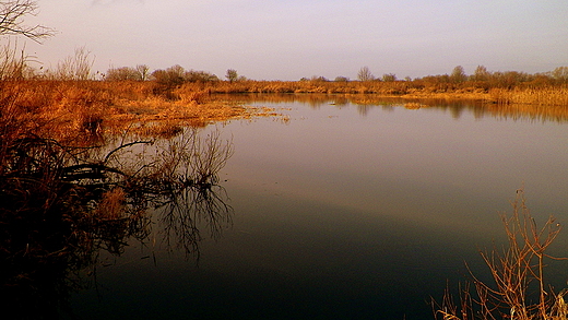 Biebrza jesieni