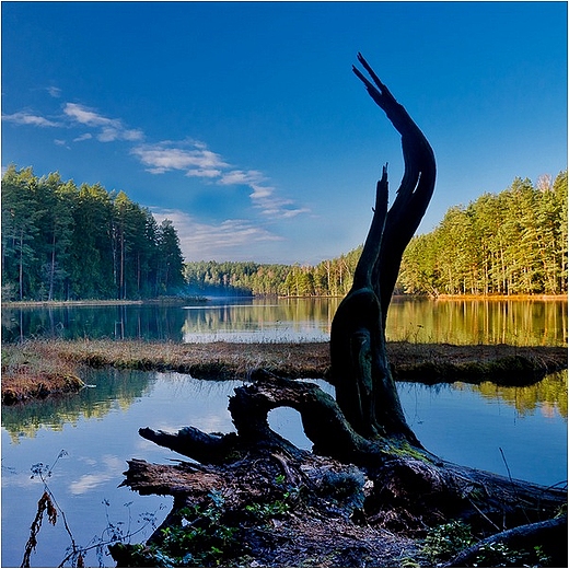 Nad Sucharem Wielkim w Wigierskim Parku Narodowym.