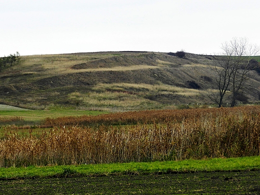 Skarpa jesieni