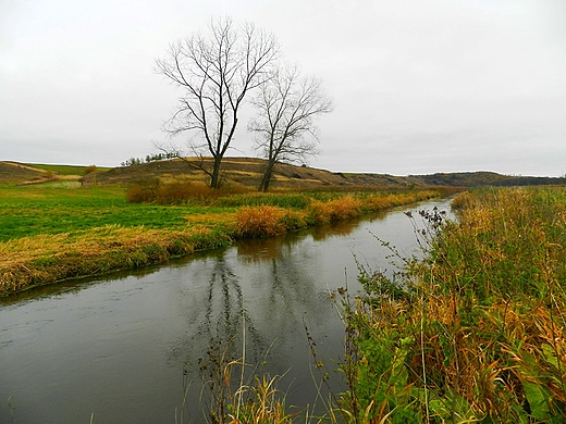 Rzeka Huczwa