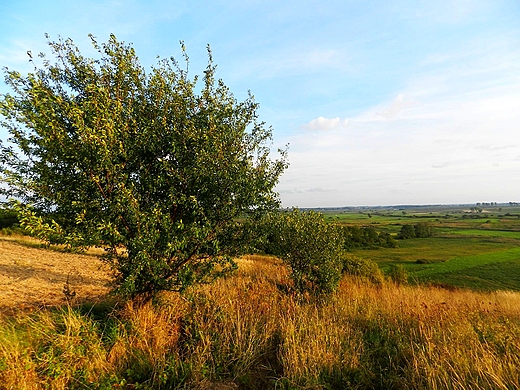 Widok ze Skarpy Dobuaskiej