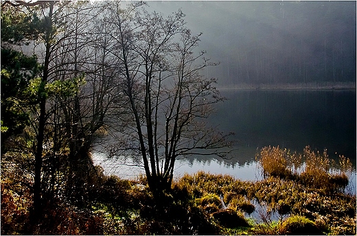 Poranne,listopadowe mgy nad jeziorem Czarnym Wigierskim.