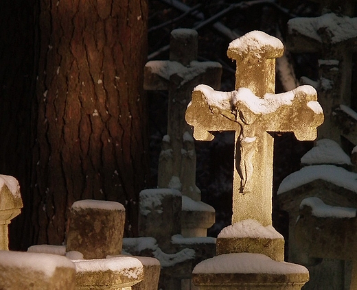 Roztocze, Podemszczyzna, cmentarz greckokatolicki