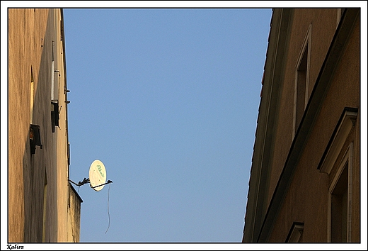 Kalisz - bezprzewodowa telewizja ul. Nowy wiat