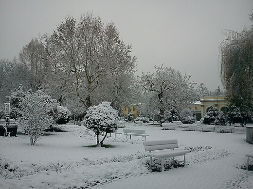 Zima wszdzie,take w parku zdrojowym w Busku-Zdroju