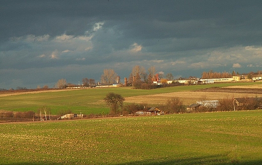 Polny pejza. Okolice Urzdowa