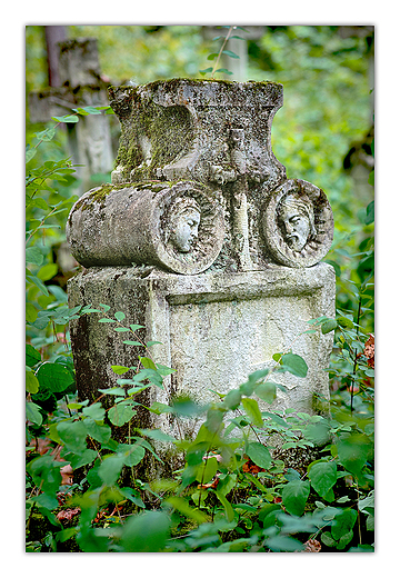 Na leśnym cmentarzu.