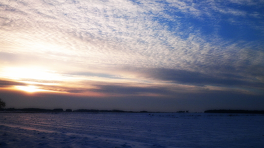 Grudniwy krajobraz na Podlasiu w okolicach wsi Pisanki