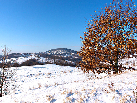 Widok z Jastrzbi na Lanckoron