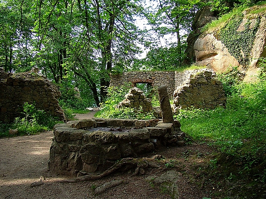 Ruiny zamku Bolczów