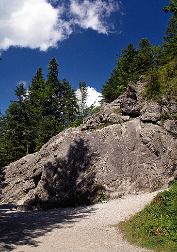 Zakopane. Formy skalne na Drodze pod Reglami.