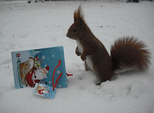 Zastanawiam si co jest w rodku.