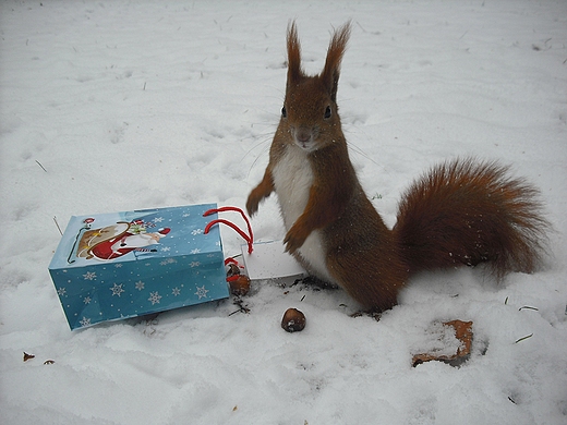 Jestem zaskoczona. Takiego prezentu jeszcze nie dostaam.