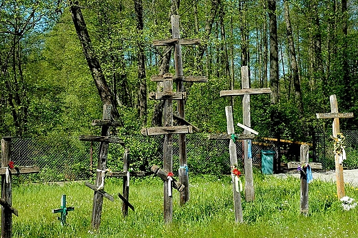 Krzye przyniesione w licznych pielgrzymkach. Koterka