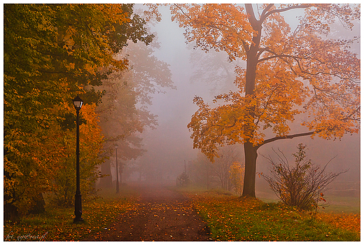 Alej przez park.