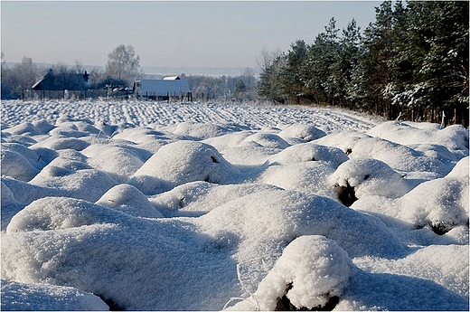 Zimowa Suwalszczyzna.