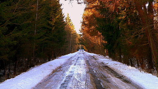 Carski Trakt w dniu 01.01.2013...