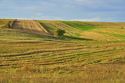 W okolicy ernik Grnych