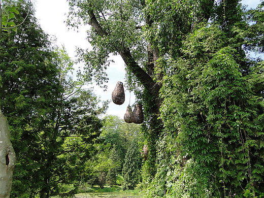 Gruszki na wierzbie.