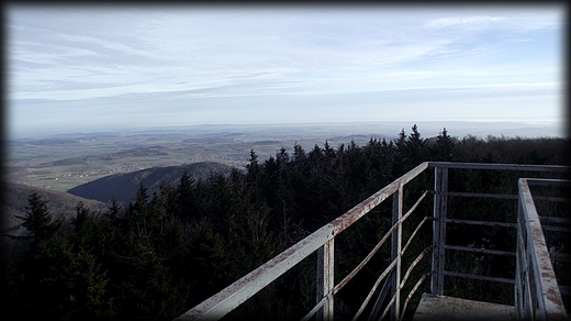 wiea widokowa na Kalenicy 964 m.n.p.m- widoki