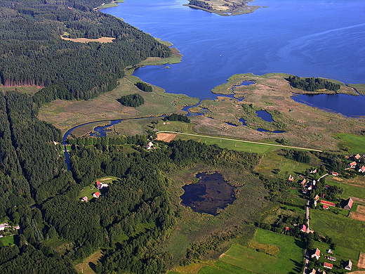 luza Przerwanki, Sapina