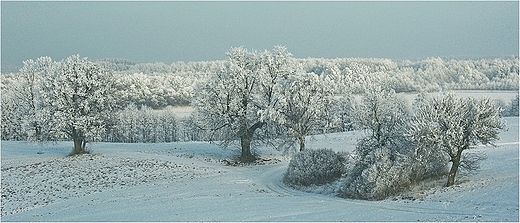 Zimowa Suwalszczyzna.