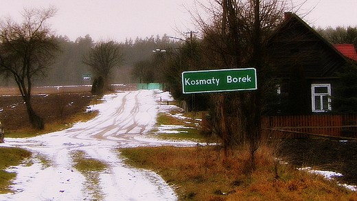 Na lenej polanie...wie Kosmaty Borek...